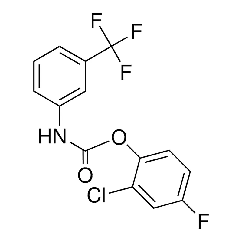 Merck 2-CHLORO-4-FLUOROPHENYL N-(3-(T-