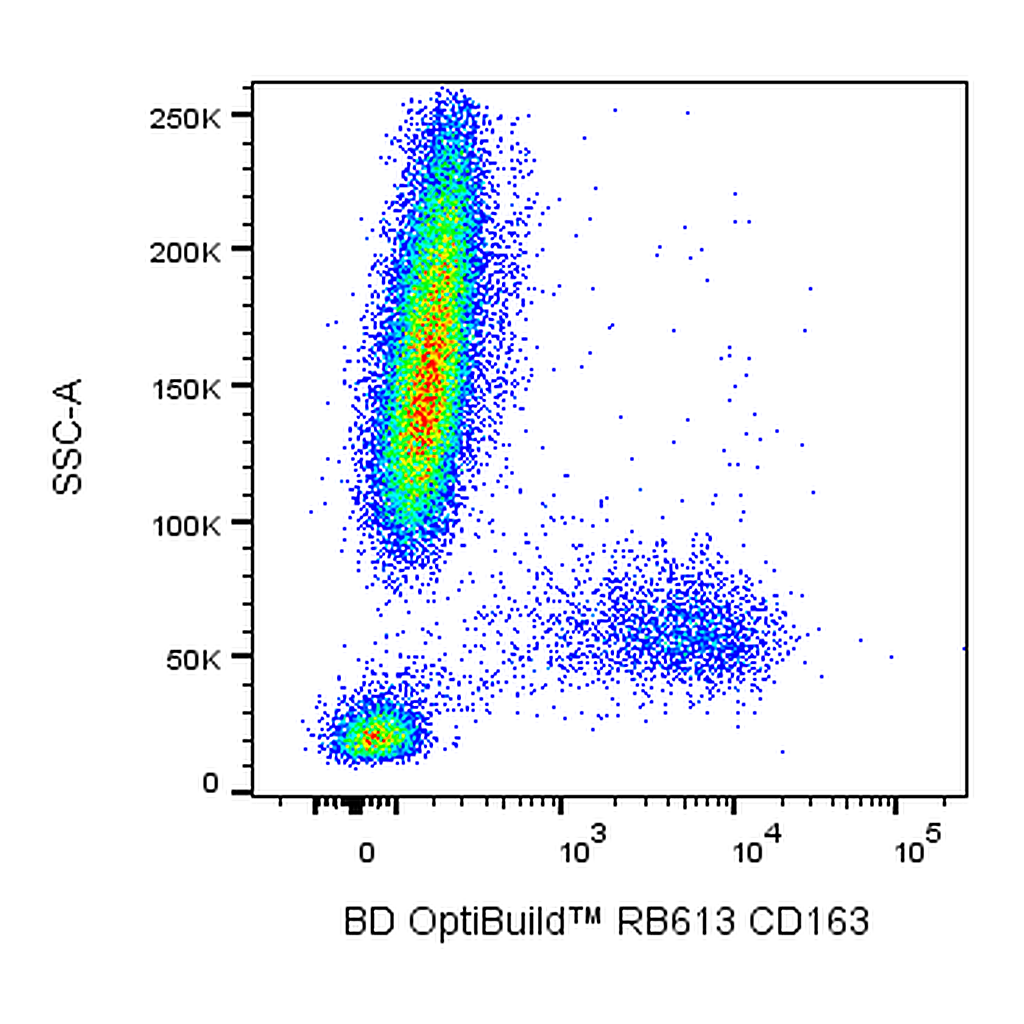 BD RB613 Mouse Anti-Human CD163
