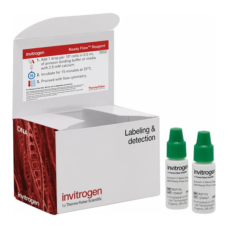 Thermo Fisher Scientific Annexin V Alexa Fluor 488 Ready Flow Conjugate, 120 reactions