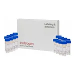 Thermo Fisher Scientific LysoTracker Red DND-99, special packaging