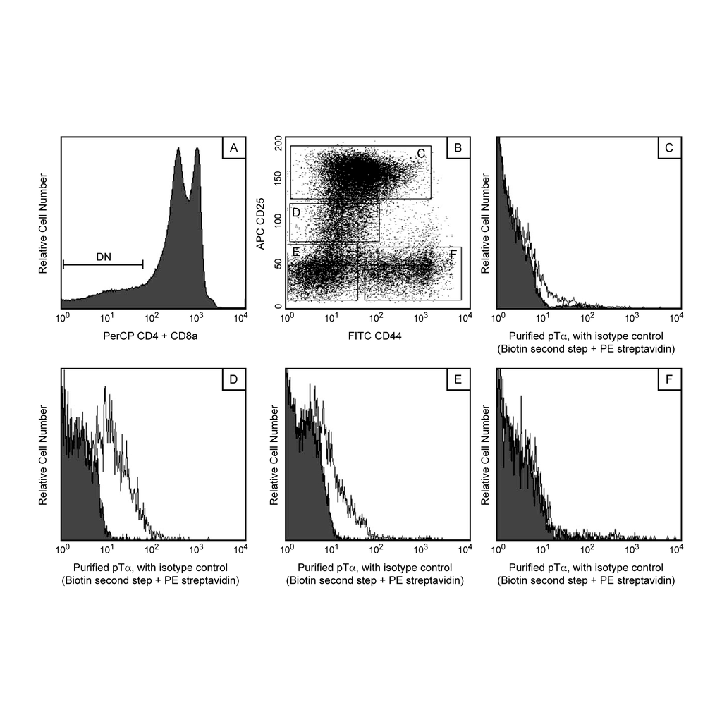 BD Purified Mouse Anti-Mouse Pre-T Cell Receptor α Chain