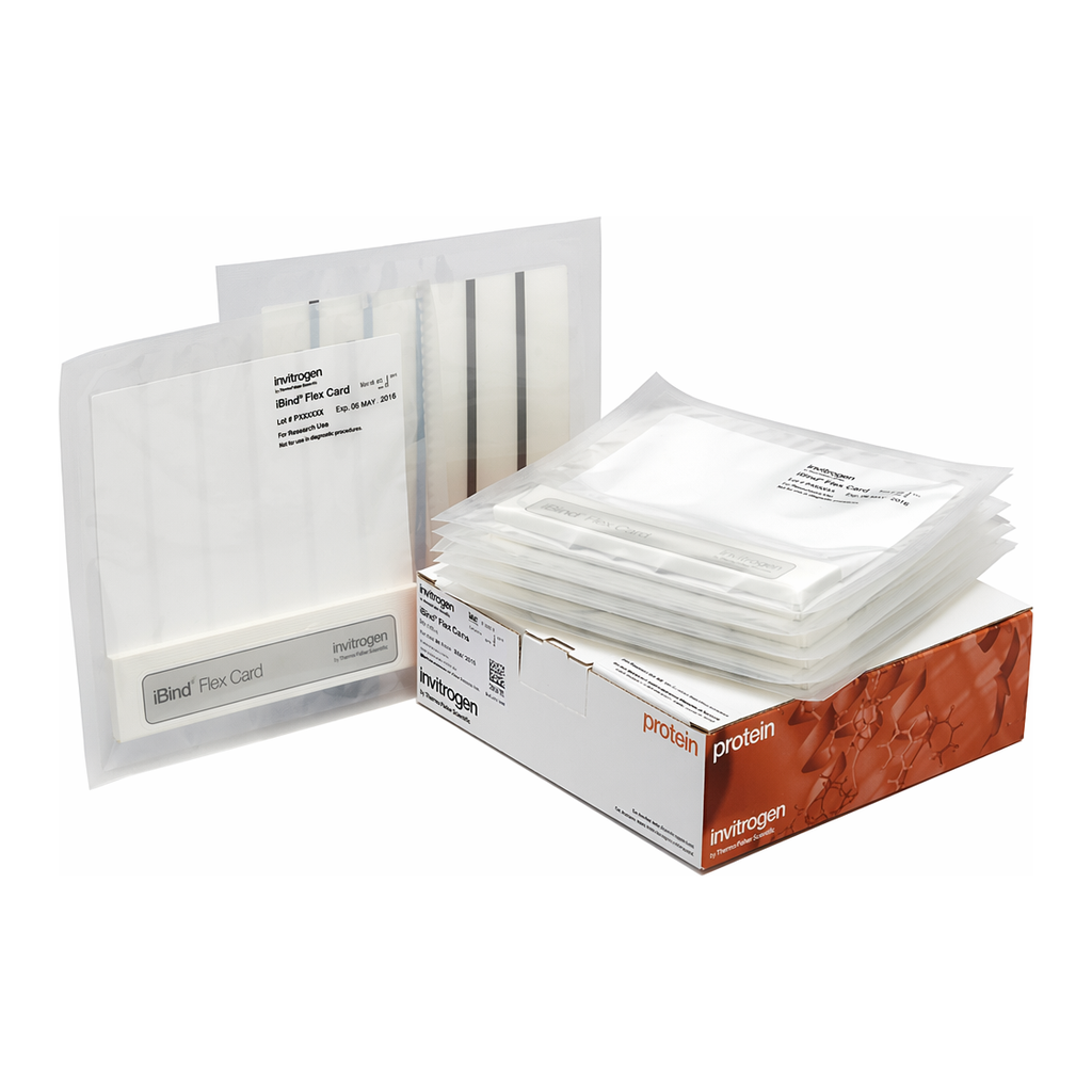 Thermo Fisher Scientific iBind Flex Cards, 10 Cards