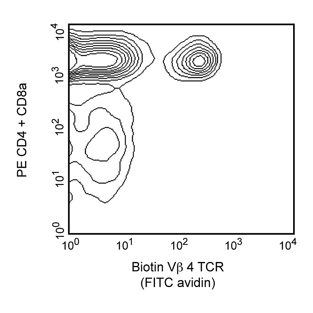 BD Biotin Rat Anti-Mouse Vβ4 T-Cell Receptor