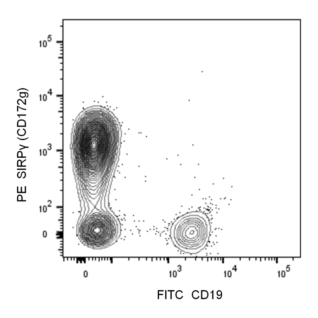 BD PE Mouse Anti-Human SIRPγ (CD172g)