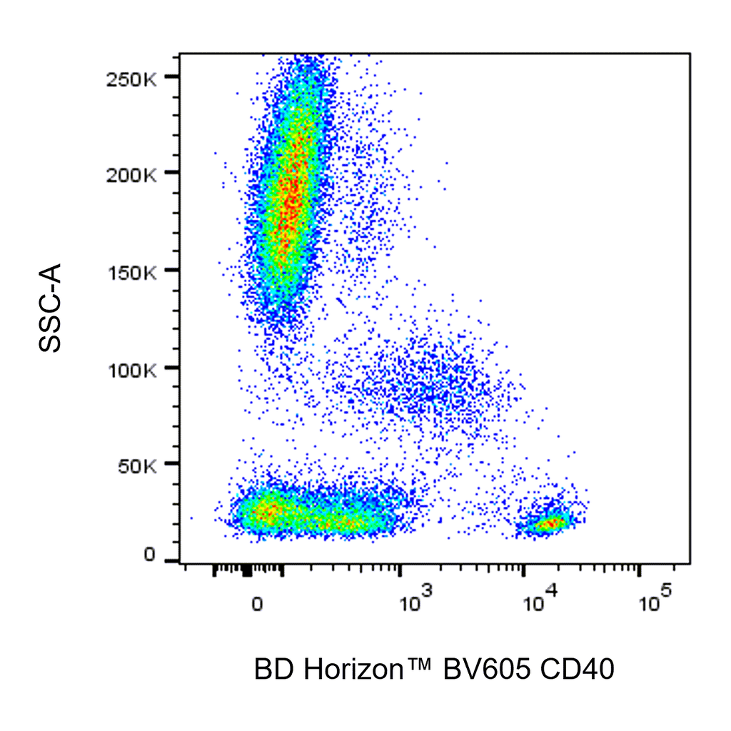 BD BV605 Mouse Anti-Human CD40