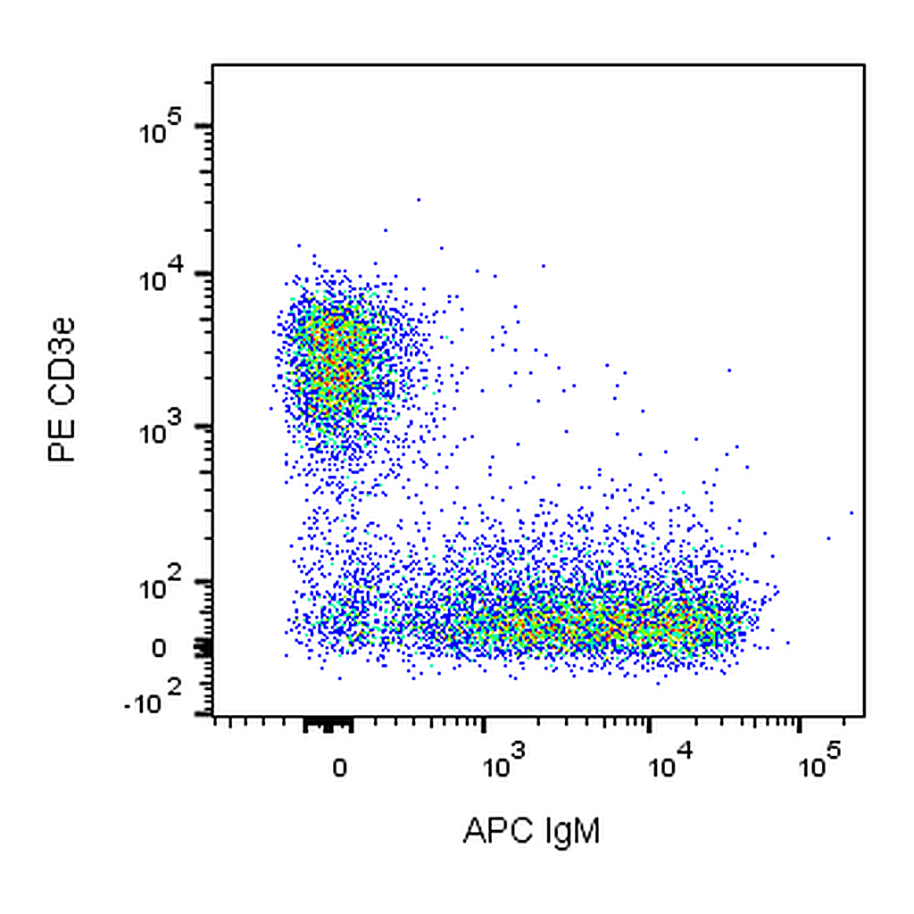BD APC Rat Anti-Mouse IgM