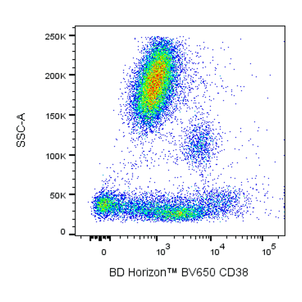 BD BV650 Mouse Anti-Human CD38