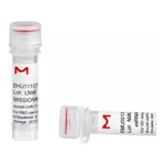 Merck MISSION(R) esiRNA