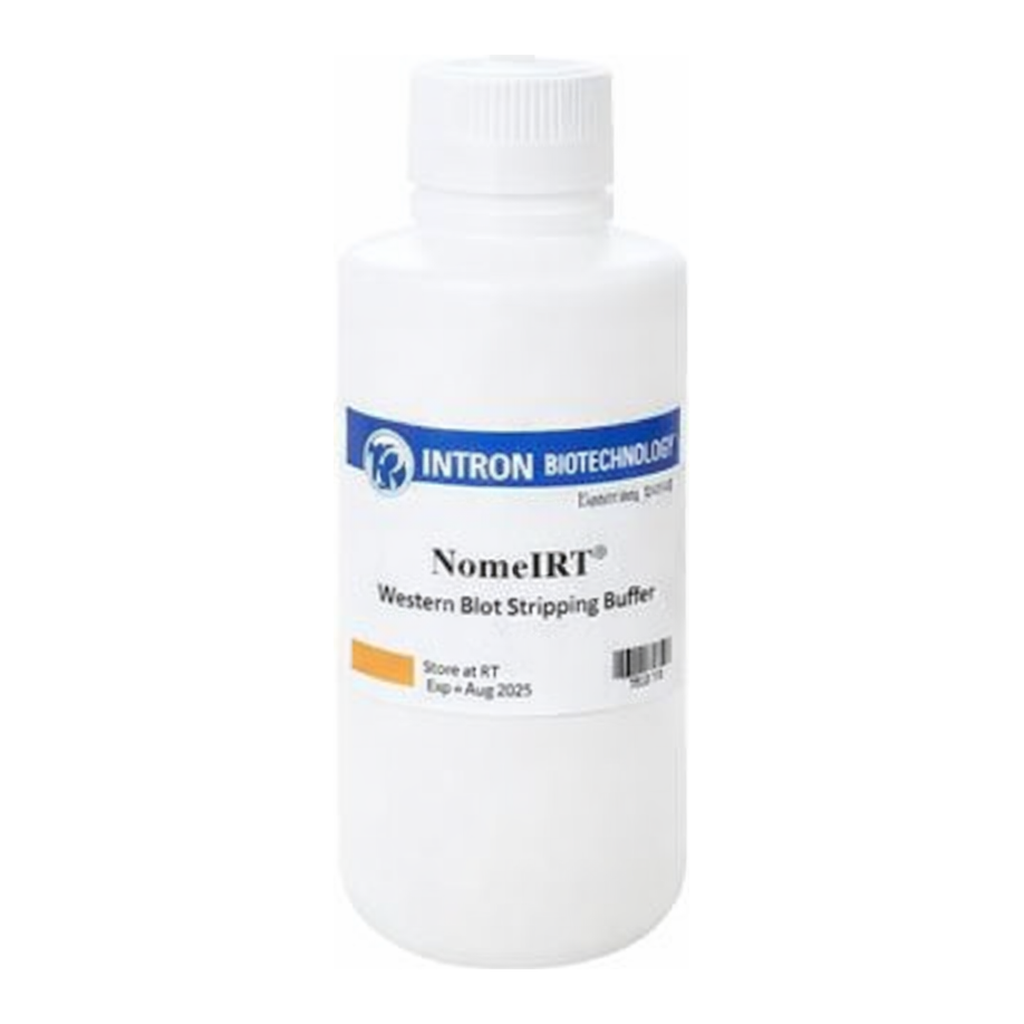 Intron NomelRT™ Western Blot Stripping Buffer