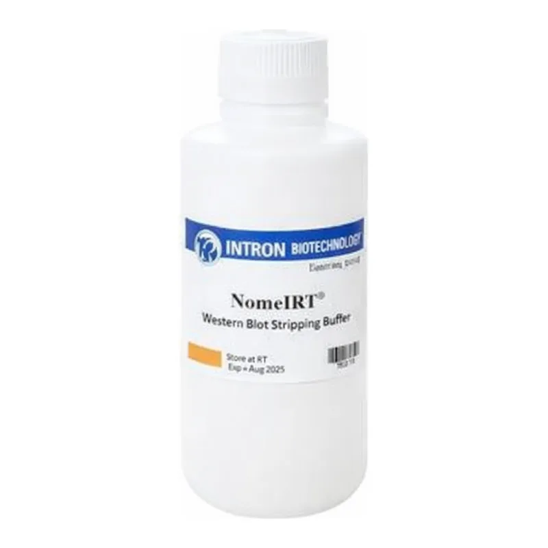 Intron NomelRT™ Western Blot Stripping Buffer