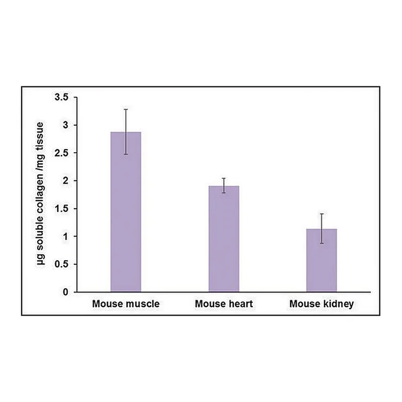 Merck SOLUBLE COLLAGEN QUANTIFICATION ASSAY KI