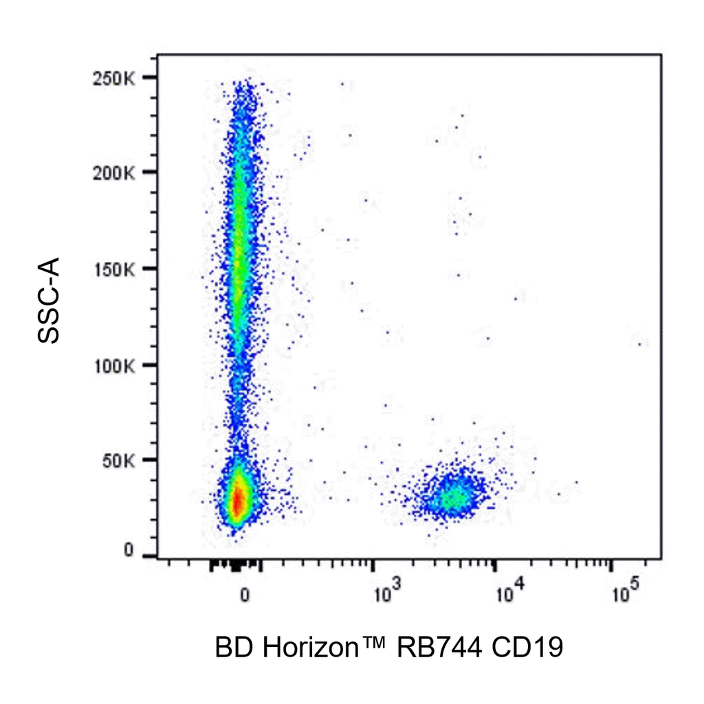 BD RB744 Mouse Anti-Human CD19