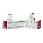 Thermo Fisher Scientific GeneArt Seamless PLUS Cloning and Assembly Kit