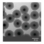Merck GOLD NANOPARTICLES, 20 NM DIAMETER, SIL&