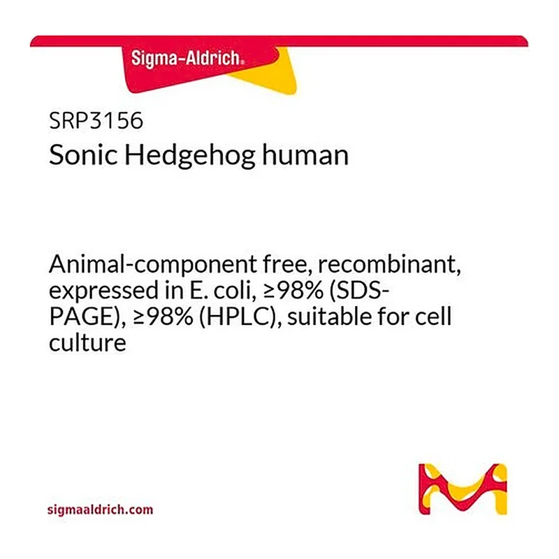 Merck Sonic Hedgehog human