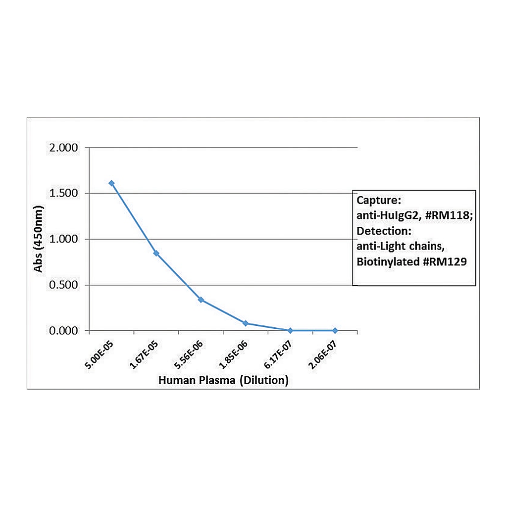 Merck Anti-Human IgG2 antibody, Rabbit monoclonal