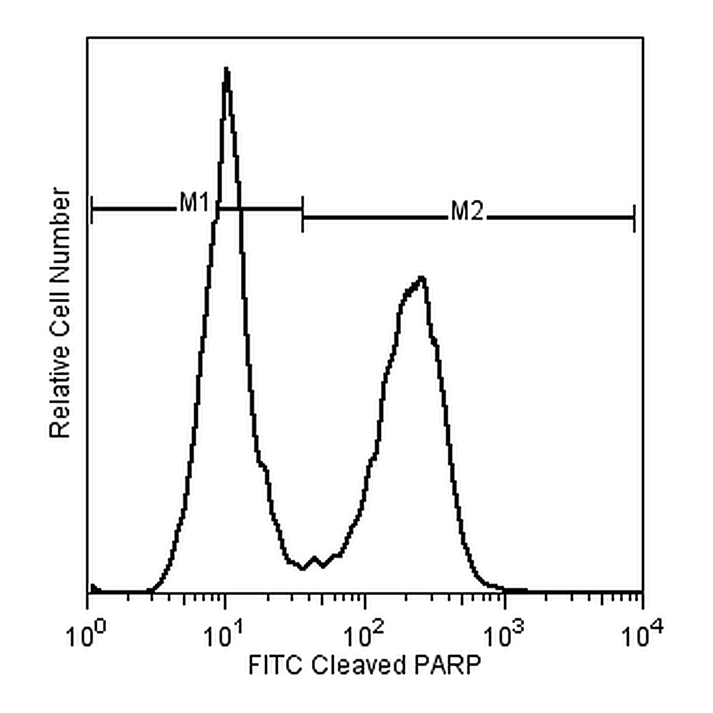 BD FITC Mouse anti-Cleaved PARP (Asp214)