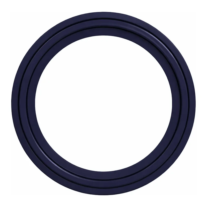 Molded Tuf-Flex® Gasket for Maxi Flange SFMX Series Fittings, PTFE/EPDM