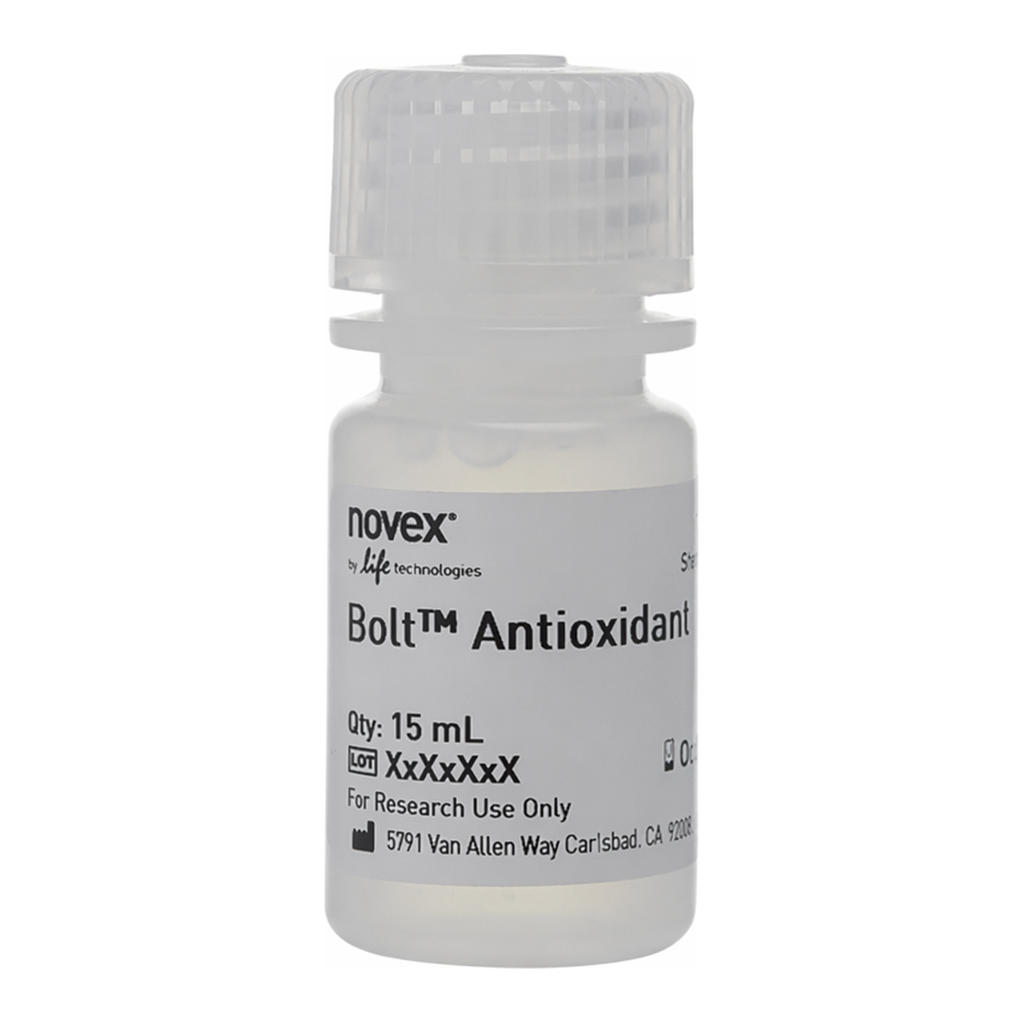 Thermo Fisher Scientific Bolt Antioxidant
