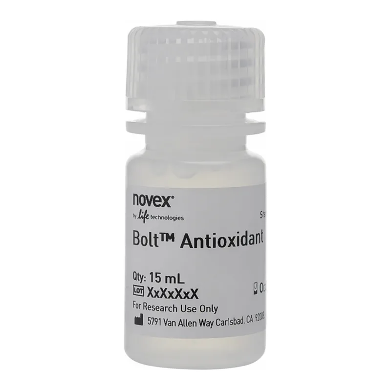 Thermo Fisher Scientific Bolt Antioxidant