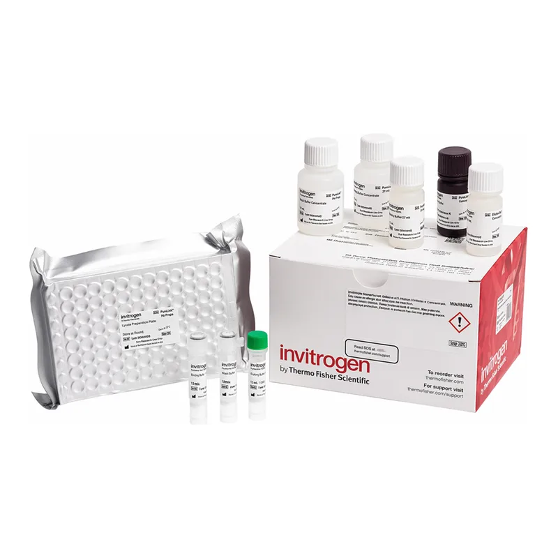 Thermo Fisher Scientific Rat Progesterone Rapid ELISA Kit
