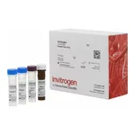 Thermo Fisher Scientific CA72-4 (TAG 72) Human ProcartaPlex Simplex Kit