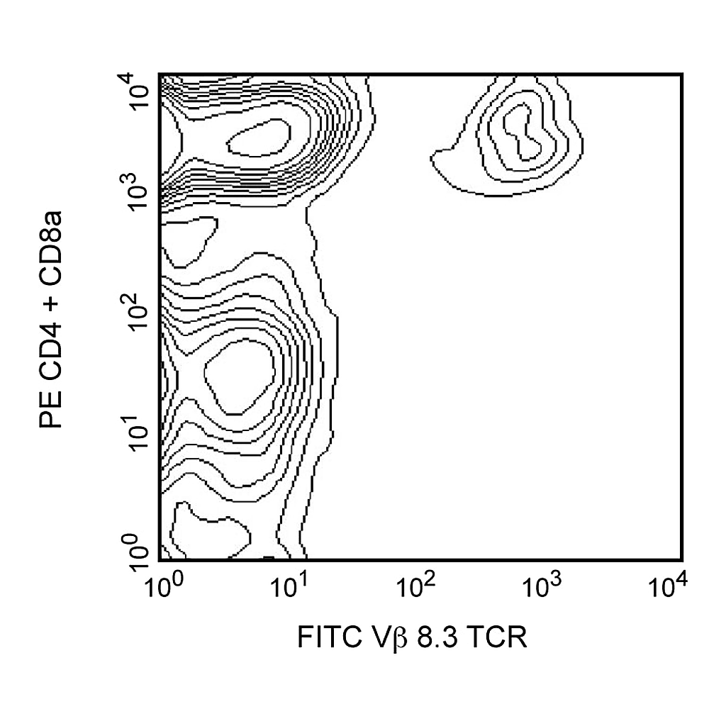BD FITC Hamster Anti-Mouse Vβ 8.3 T-Cell Receptor