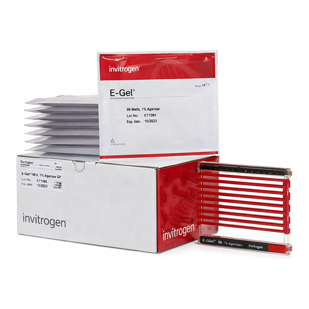 Thermo Fisher Scientific E-Gel 96 Agarose Gels, 1%, 8 Gels