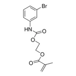 Merck 2-(METHACRYLOYLOXY)ETHYL N-(3- - 50 MG&