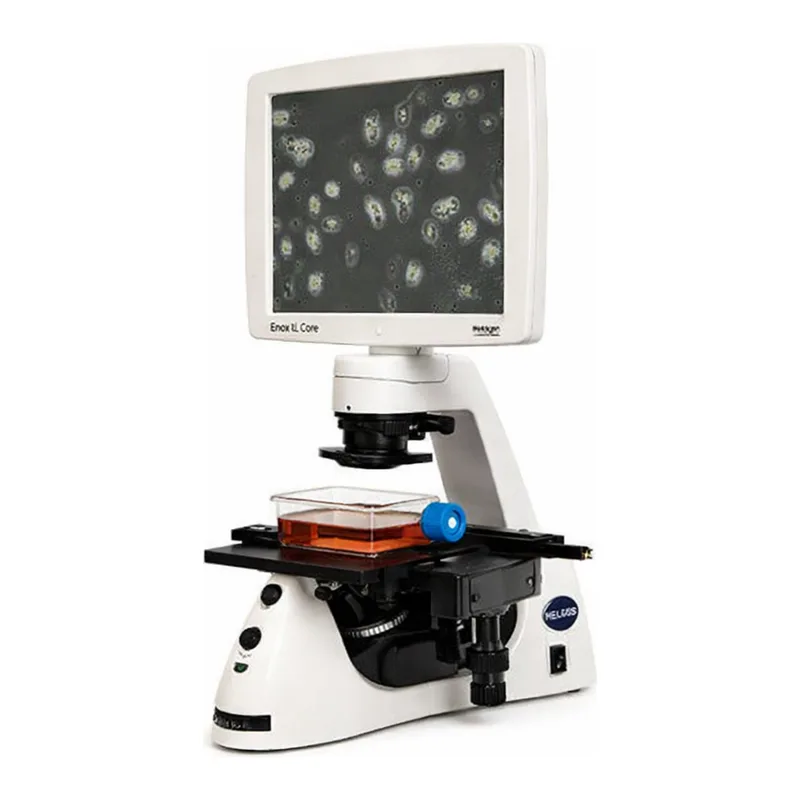 Thermo Fisher Scientific EVOS XL Core Configured Cell Imager with Mechanical Stage