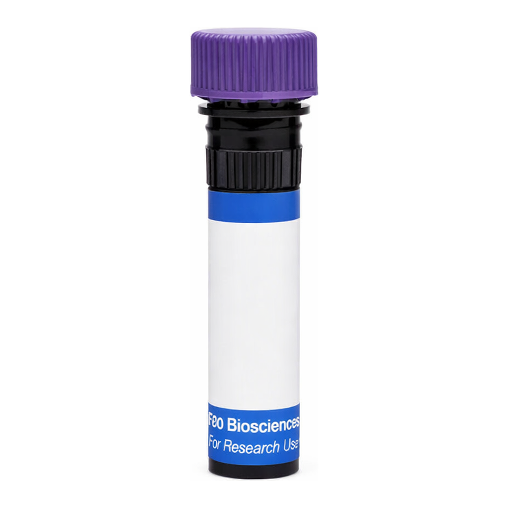 BD RB744 Mouse Anti-Human Carbonic Anhydrase IX