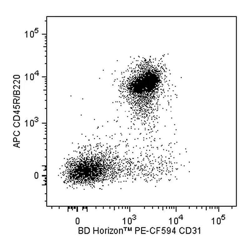 BD PE-CF594 Rat Anti-Mouse CD31