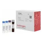 Thermo Fisher Scientific CA125 (Mucin-16) Human ProcartaPlex Simplex Kit