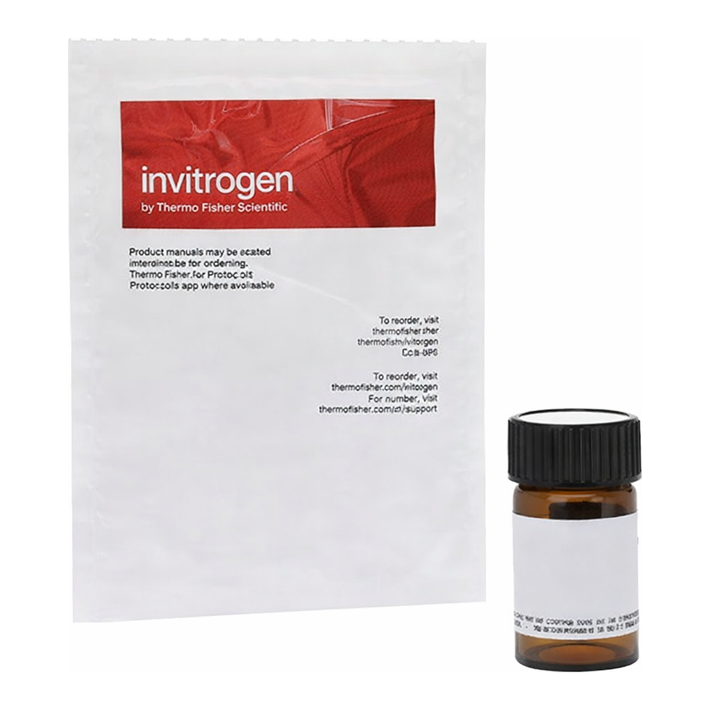 Thermo Fisher Scientific C12FDG (5-Dodecanoylaminofluorescein Di-β-D-Galactopyranoside)