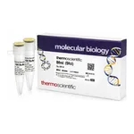 Thermo Fisher Scientific BfmI (SfcI) (10 U/μL), 200 units