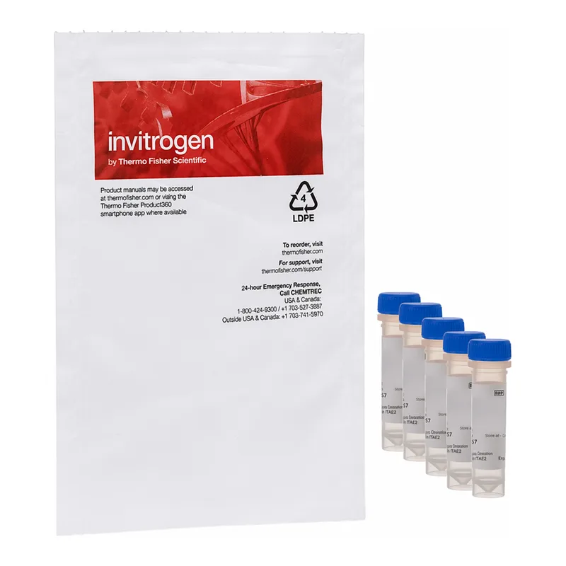 Thermo Fisher Scientific Yeast Mitochondrial Stain Sampler Kit