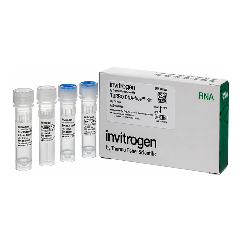 Thermo Fisher Scientific TURBO DNA-free Kit