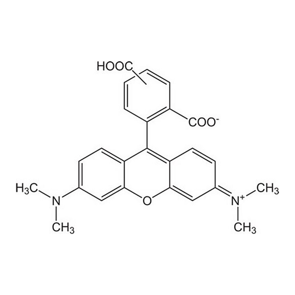 Merck 5(6)-CARBOXYTETRAMETHYLRHODAMINE