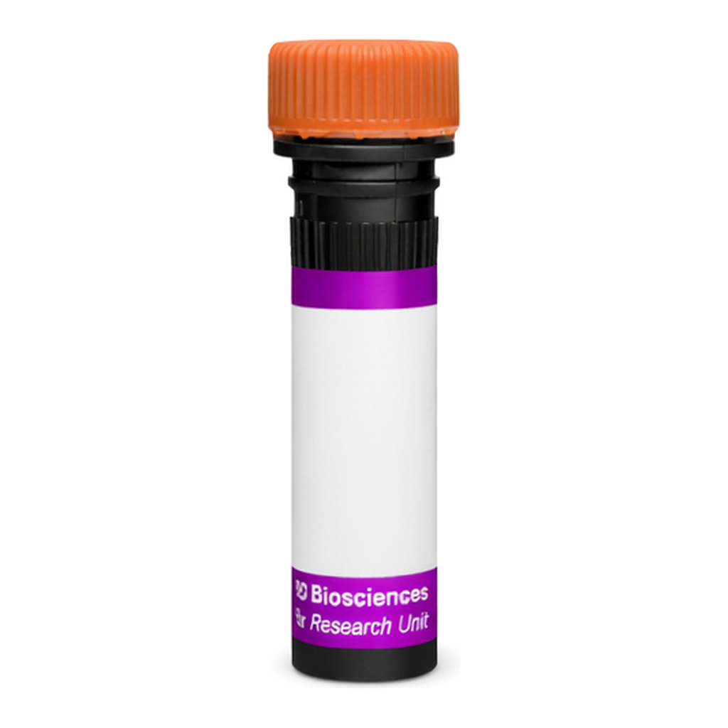 BD BV605 Rat Anti-Mouse Vβ4 T-Cell Receptor