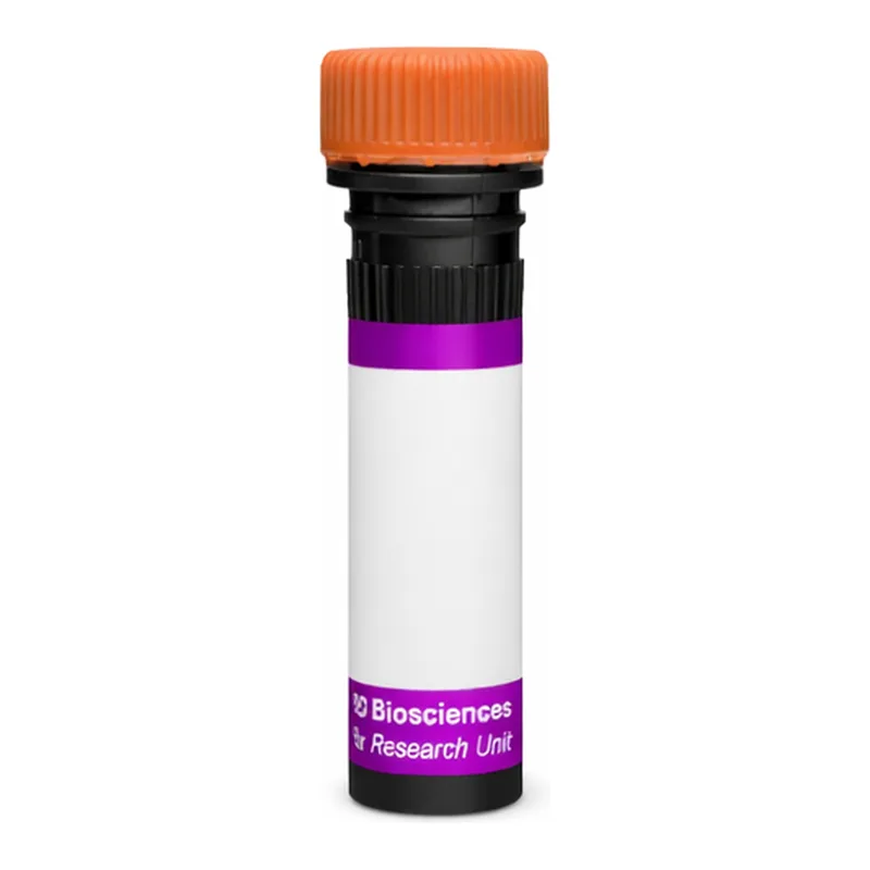 BD BV605 Rat Anti-Mouse Vβ4 T-Cell Receptor