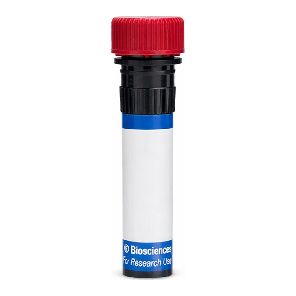 BD RB670 Rat Anti-Mouse Pre-B Cell Receptor