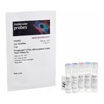 Thermo Fisher Scientific FungaLight Yeast CFDA, AM/Propidium Iodide Vitality Kit