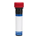 BD RB670 Mouse Anti-Human FcεR1α