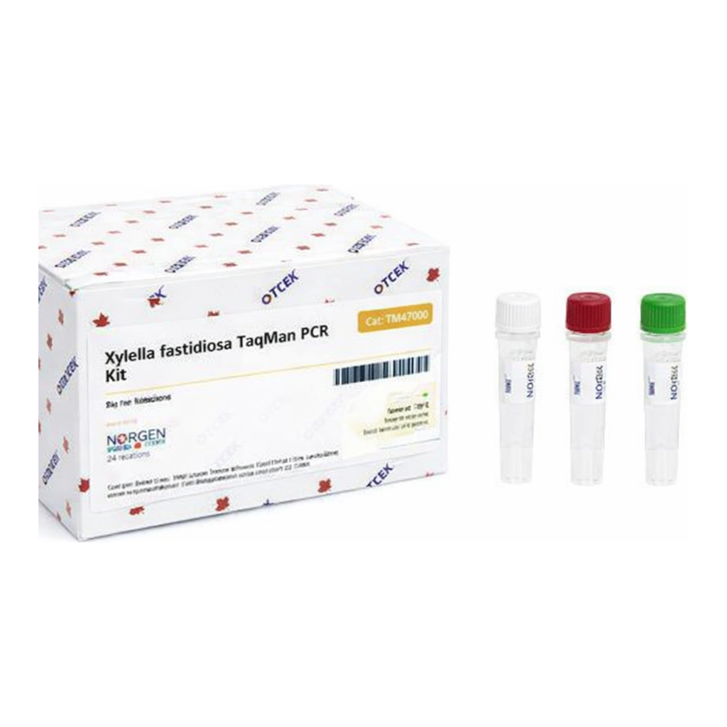 Norgen Xylella fastidiosa TaqMan Probe/Primer and Control Set