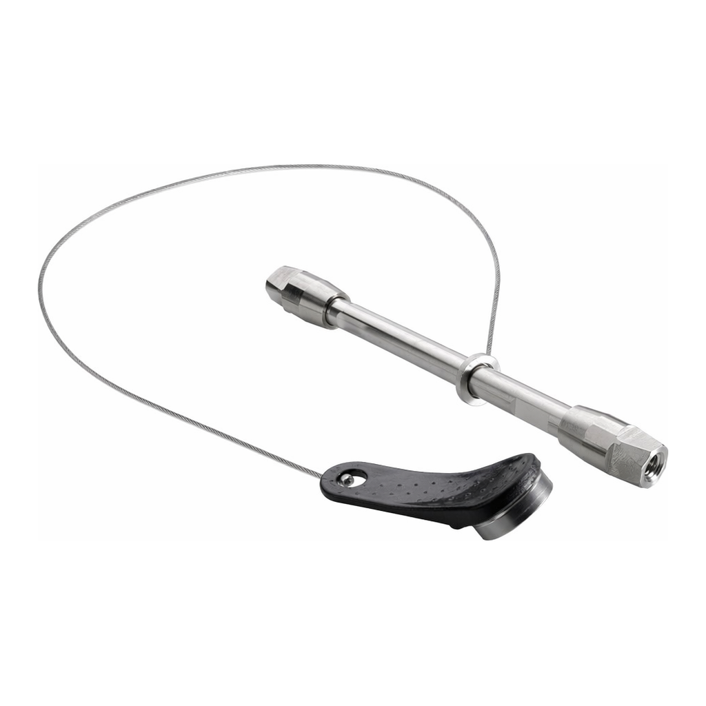 Waters BioResolve SCX mAb Column, 3 µm, 2.1 mm x 50 mm, 1/pk with mAb Charge Variant Standard