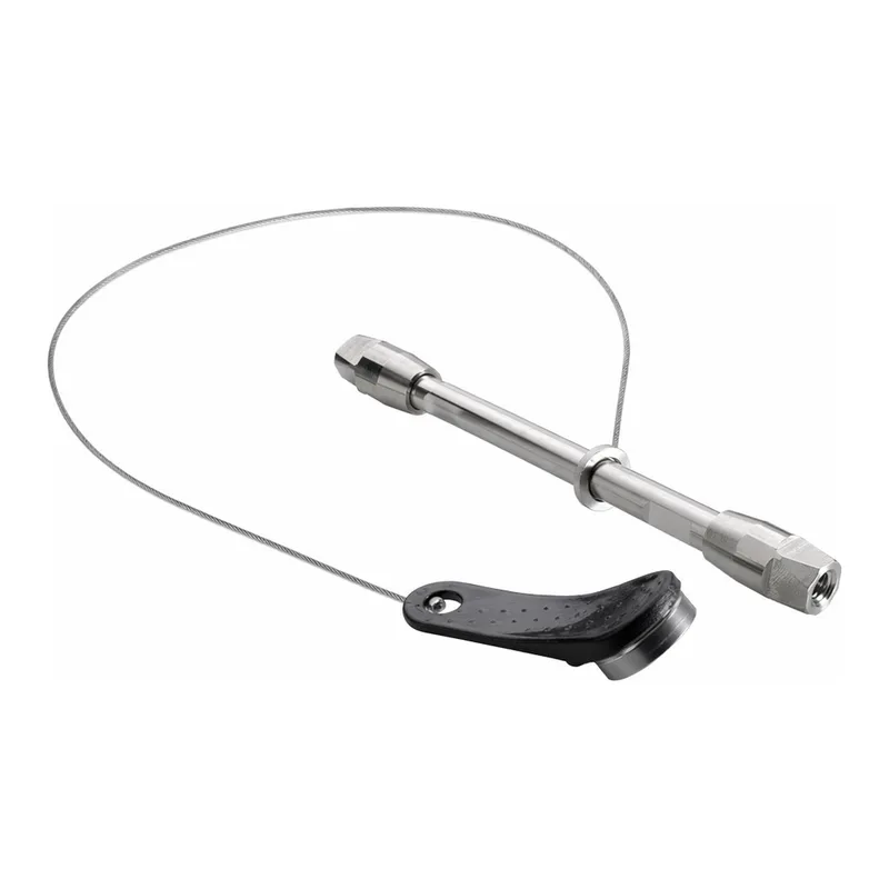 Waters BioResolve SCX mAb Column, 3 µm, 2.1 mm x 50 mm, 1/pk with mAb Charge Variant Standard