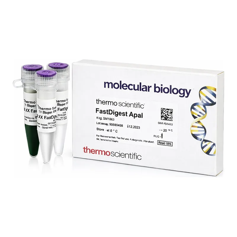 Thermo Fisher Scientific FastDigest ApaI