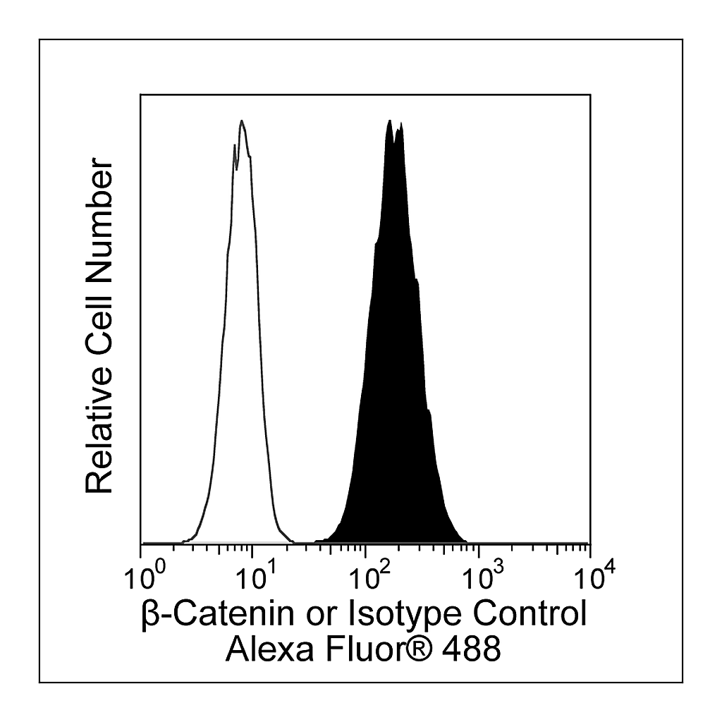 BD Alexa Fluor® 488 Mouse anti-β-Catenin