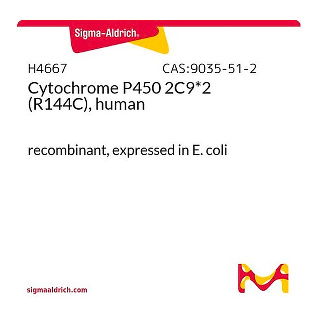 Merck Cytochrome P450 2C9*2 (R144C), human