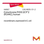 Merck Cytochrome P450 2C9*2 (R144C), human